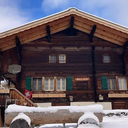 Holiday Home Husmaettli By Interhome Gimmelwald